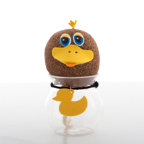 Graskopf Haustier