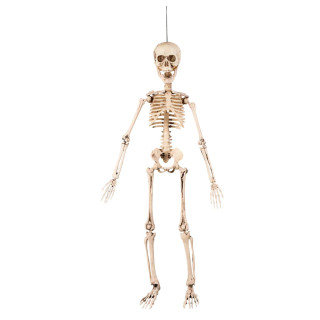 Dekoration „Skelett“ (50 cm)