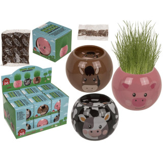 Grow-a-head – Bauernhoftiere