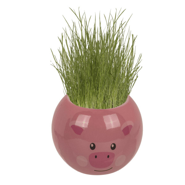 Grow-a-head – Bauernhoftiere