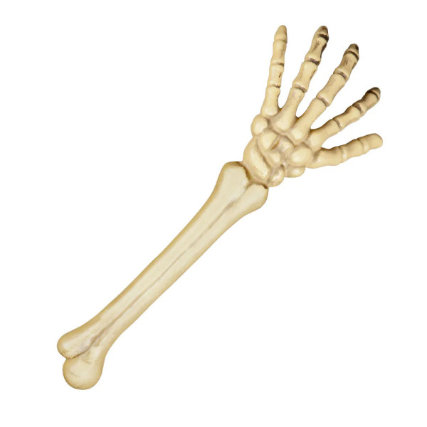 Skelett-Hand (46cm) Skelett-Hand (46cm)
