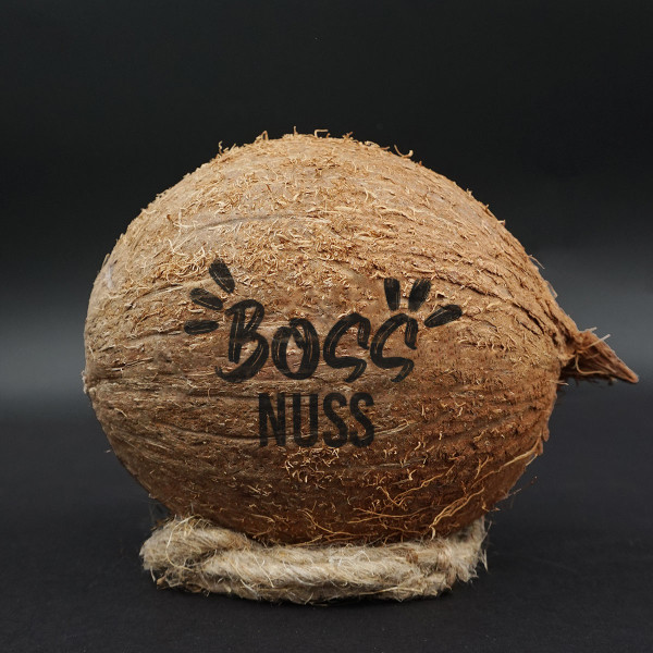 Gravierte Kokosnuss "Boss-Nuss" Gravierte Kokosnuss "Boss-Nuss"