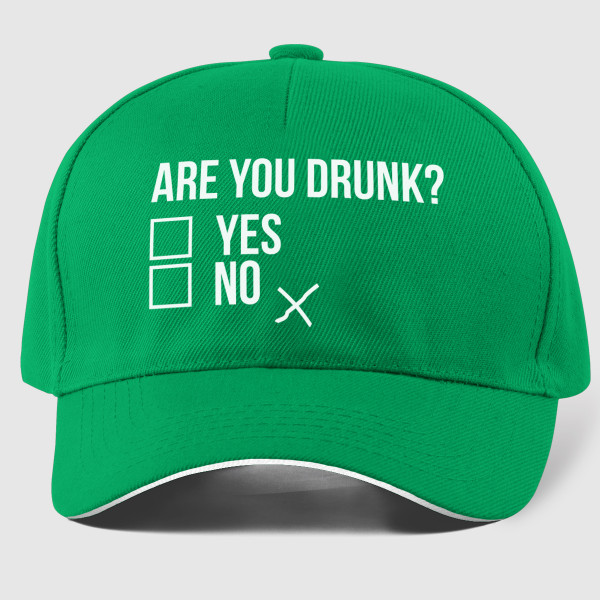 Mütze "Are you drunk?"