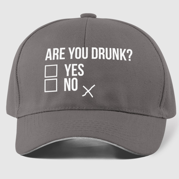 Mütze "Are you drunk?"