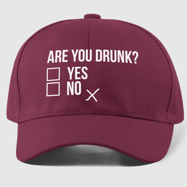 Mütze "Are you drunk?"