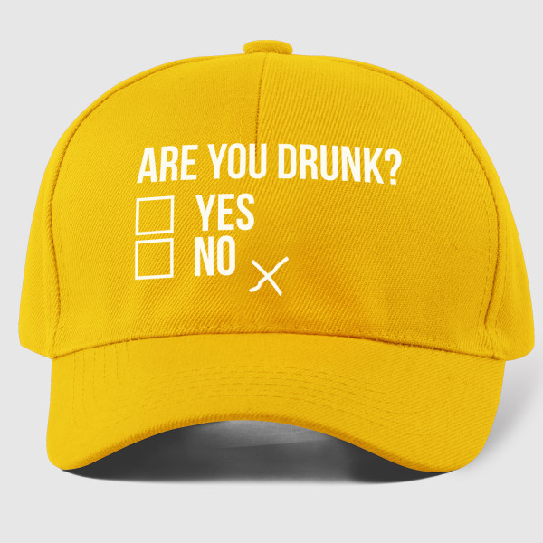 Mütze "Are you drunk?"