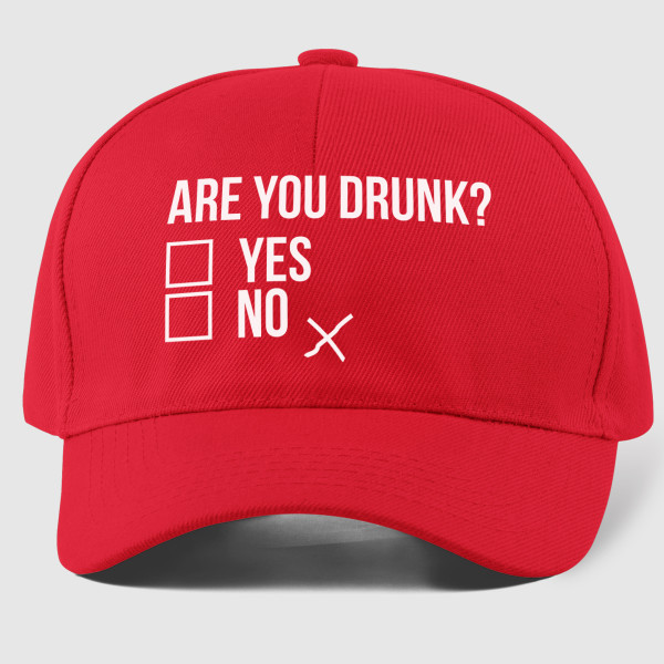 Mütze "Are you drunk?"