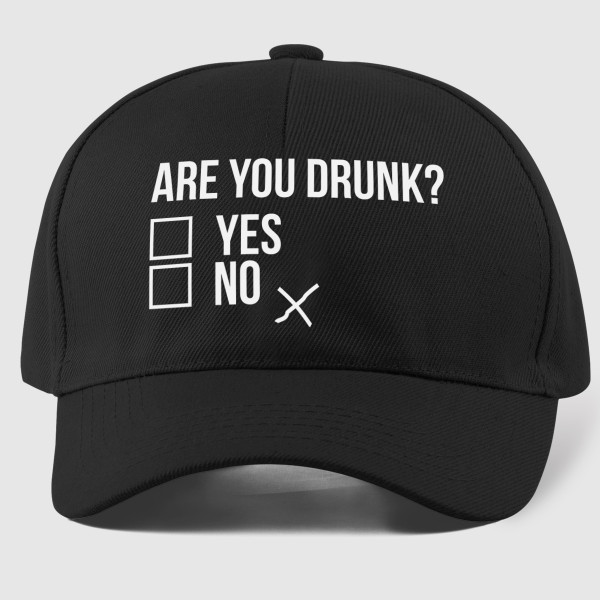 Mütze "Are you drunk?"