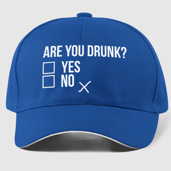 Mütze "Are you drunk?"