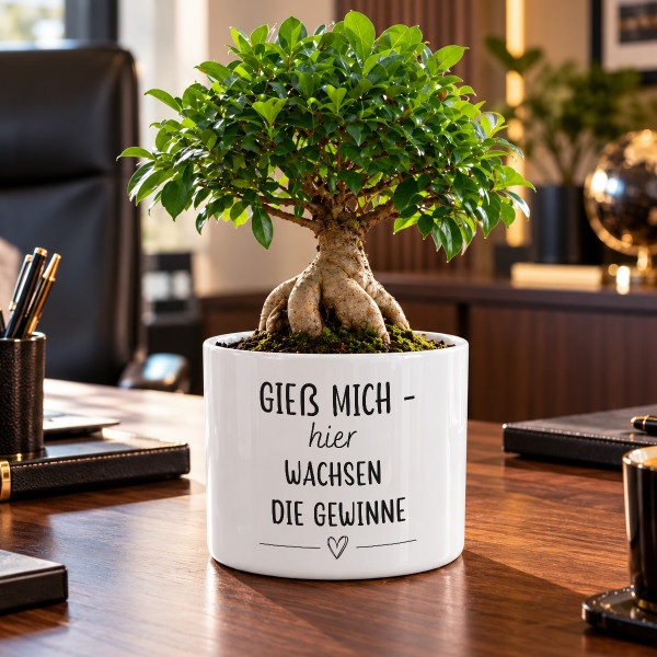 Keramik-Blumentopf "Gieß mich – hier wachsen die Gewinne"