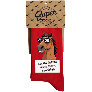 Socken "Mein Plan für 2026"