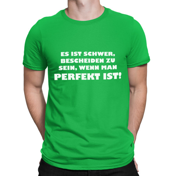 T-shirt "Mr. Perfektion"