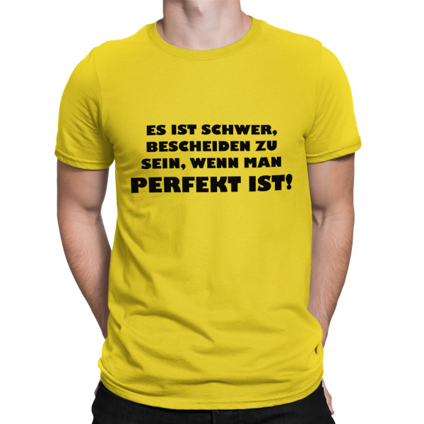 T-shirt "Mr. Perfektion"