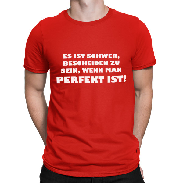 T-shirt "Mr. Perfektion"